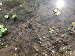 -杭州城北体育公园