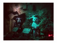 -成都浩海立方海洋公园