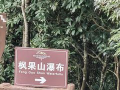 -海南热带雨林国家公园吊罗山景区