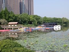 -南翔镇银翔湖公园