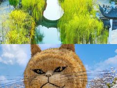 -中华恐龙园