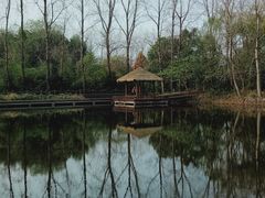 -溱湖国家湿地公园