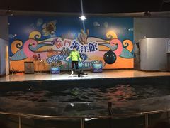 -洛阳龙门海洋馆