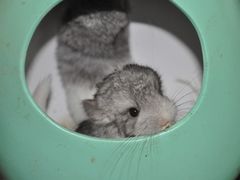 -龙猫仔乐园(惠福东路店)