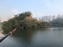 -重庆彩云湖湿地公园