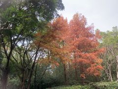 -深圳国际园林花卉博览园