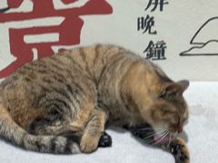 -猫的天空之城概念书店(杭州南宋御街店)