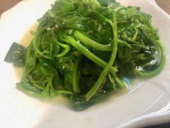 蒜泥木耳菜-凤嫂农家乐(梁弄店)