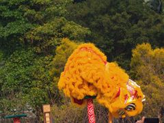 -西樵山风景名胜区-天湖公园