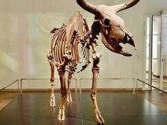 -丹麦国家博物馆