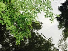 -西湖外事游船(花港观鱼码头)