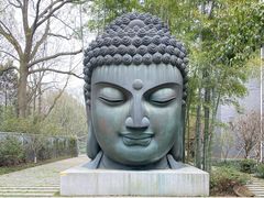 -杭州植物园