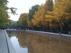 -玲珑塔公园