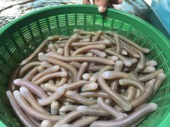 -鑫悦楼煎蟹·16年海鲜大排档