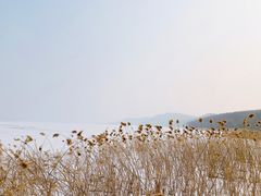 -北京宽沟会议中心