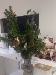 -JNK皮肤管理中心