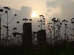 -杭州城北体育公园