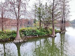 -海珠湖公园