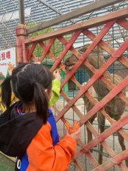 -萌宠亲子动物乐园(槐房万达店)