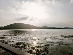 -长广溪湿地公园