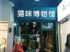 -猫咪博物馆(顶澳仔猫街店)