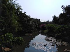 -白沙门生态公园