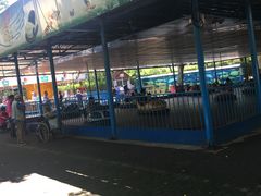 碰碰车-复兴公园