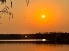 -合肥滨湖国家森林公园