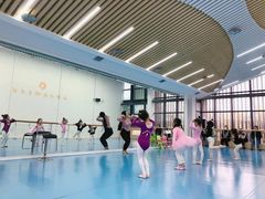 -西安小天鹅艺术团(曲江Alice店)