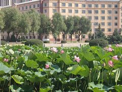 -哈尔滨师范大学(松北校区)