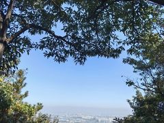 -惠山国家森林公园
