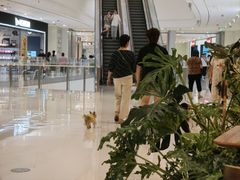 -食悦天美食广场(长沙IFS国金中心店)