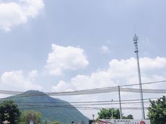 -悦城龙母祖庙