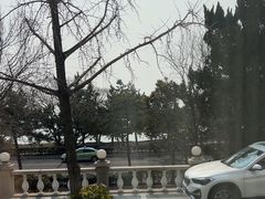-青岛海景花园大酒店·白果树餐厅青岛菜