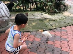 -吉隆坡雀鸟公园