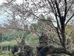 -成都杜甫草堂博物馆