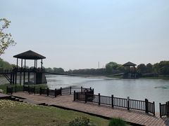 -荷塘月色湿地公园·向阳花洲