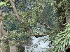 -四门塔风景区