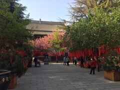 -西安青龙寺遗址景区