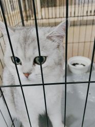 点击看大图 -镁连社·美联社