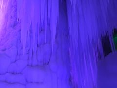 -芦芽山旅游度假区
