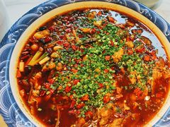 -新概念来凤鱼(璧山店)