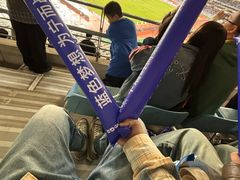 -南京奥林匹克体育中心-体育馆