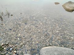 -苏州东太湖生态园