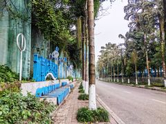 -重庆海昌加勒比海水世界
