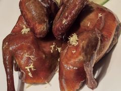 -觅唐MITONG(鸟巢店)