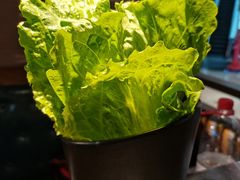 -九田家黑牛烤肉料理(新辰里亚运村店)