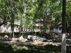 -山东师范大学(千佛山校区)