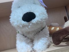 -可爱抓 COCO  GOTCHA(天津鹏欣水游城店)