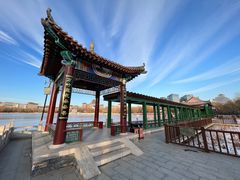 -莲花池公园
